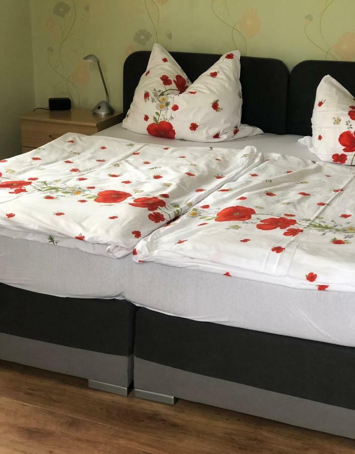 Hotel Pension Wiesenau Salzhausen Zewnętrze zdjęcie